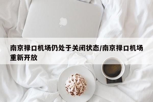 南京禄口机场仍处于关闭状态/南京禄口机场重新开放