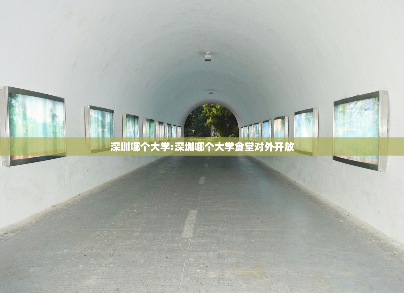 深圳哪个大学:深圳哪个大学食堂对外开放 深圳哪个大学:深圳哪个大学食堂对外开放