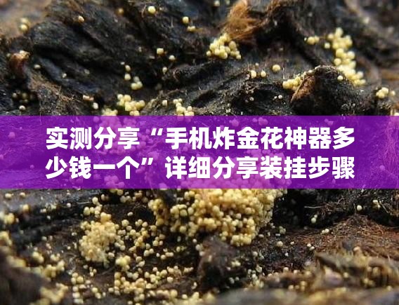 实测分享“手机炸金花神器多少钱一个”详细分享装挂步骤