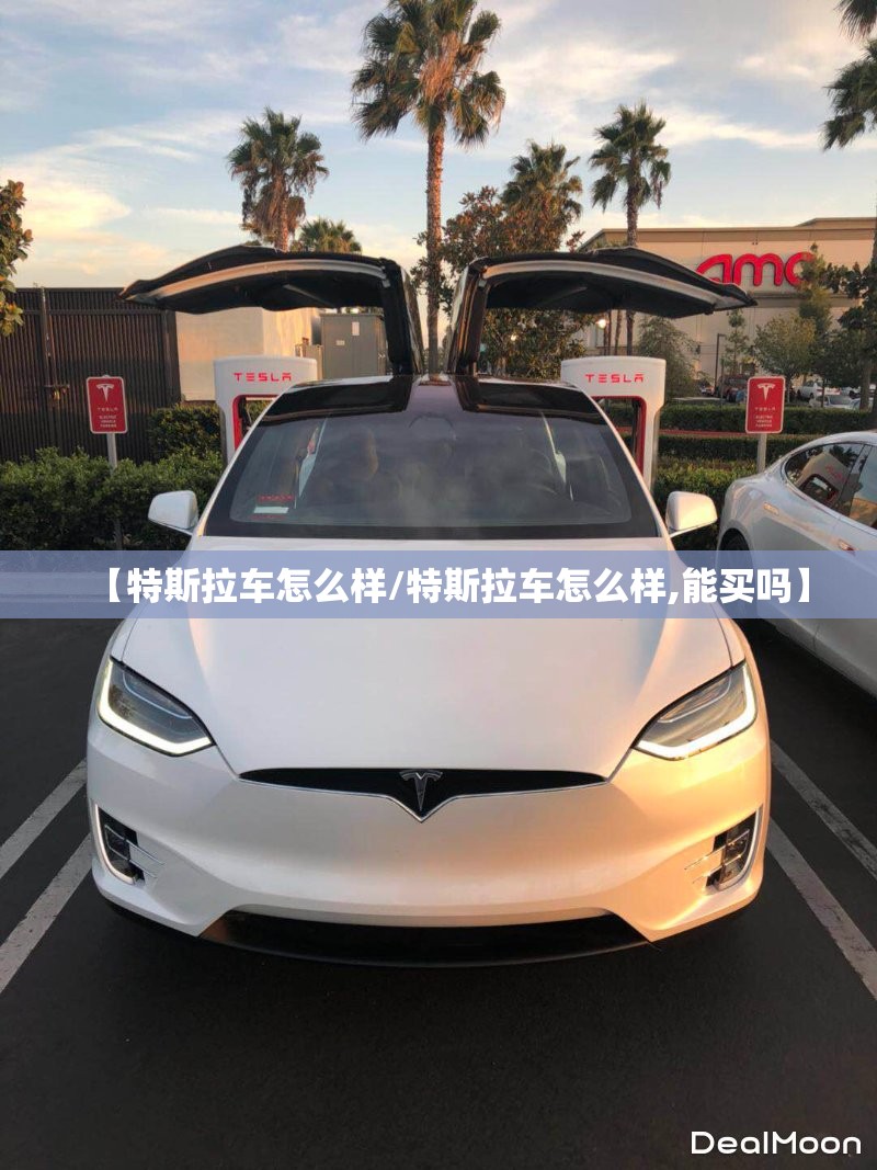 【特斯拉车怎么样/特斯拉车怎么样,能买吗】 【特斯拉车怎么样/特斯拉车怎么样,能买吗】