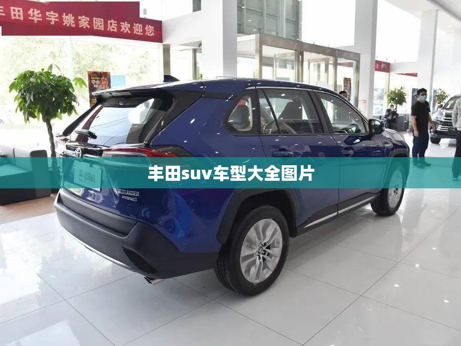 【丰田suv车型大全图片/丰田suv全部车型费用图片 10万】 【丰田suv车型大全图片/丰田suv全部车型费用图片 10万】