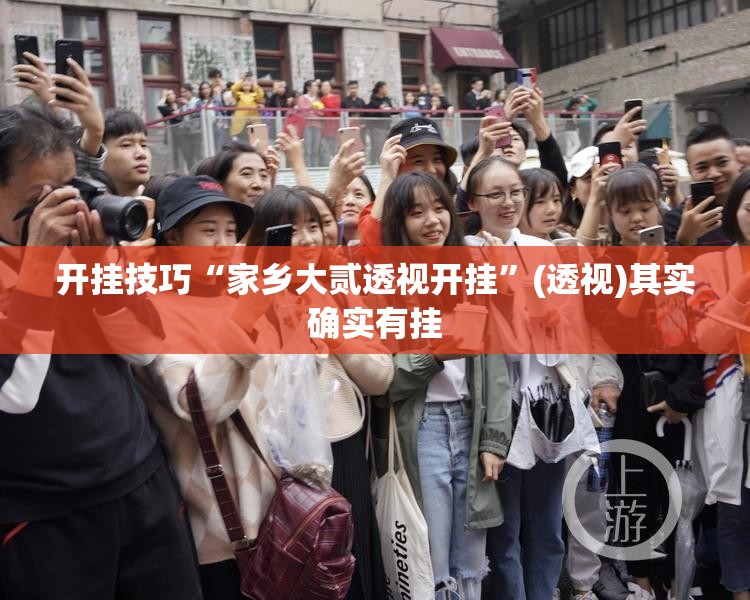 开挂技巧“家乡大贰透视开挂”(透视)其实确实有挂