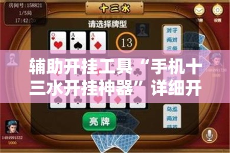 辅助开挂工具“手机十三水开挂神器	”详细开挂教程
