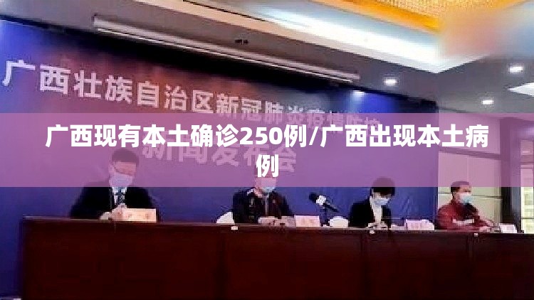 广西现有本土确诊250例/广西出现本土病例