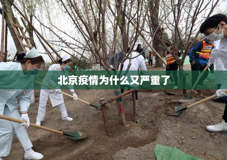 北京疫情为什么又严重了（为什么北京突然疫情防控这么严了）