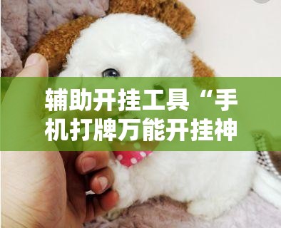 辅助开挂工具“手机打牌万能开挂神器下载”开挂详细教程