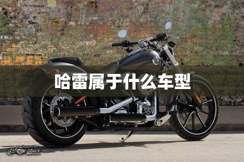 【哈雷属于什么车型/哈雷是哪国品牌】