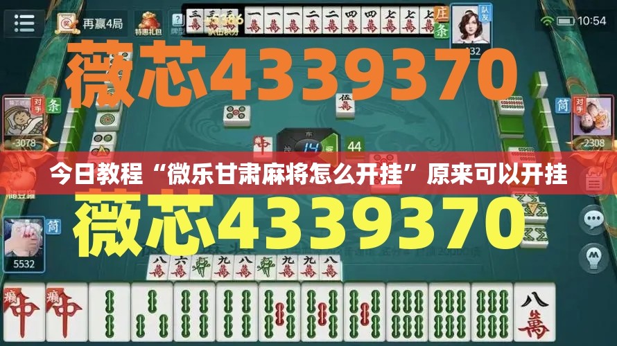 今日教程“微乐甘肃麻将怎么开挂”原来可以开挂