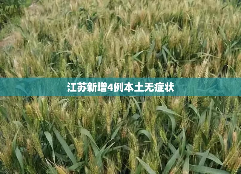 江苏新增4例本土无症状/江苏新增确诊无症状病例