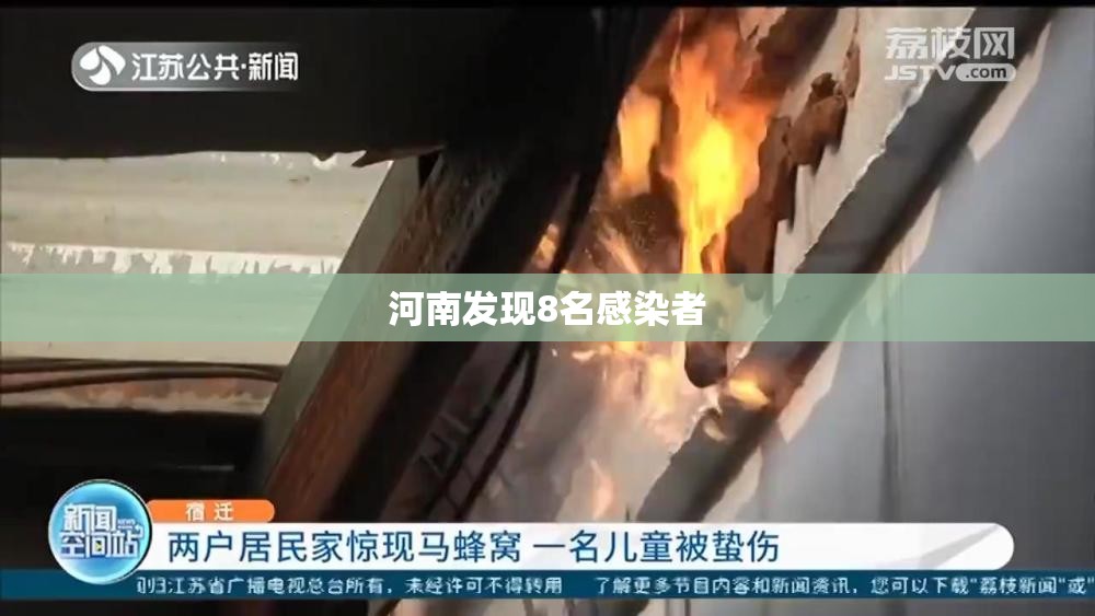 河南发现8名感染者:河南发现8名感染者轨迹
