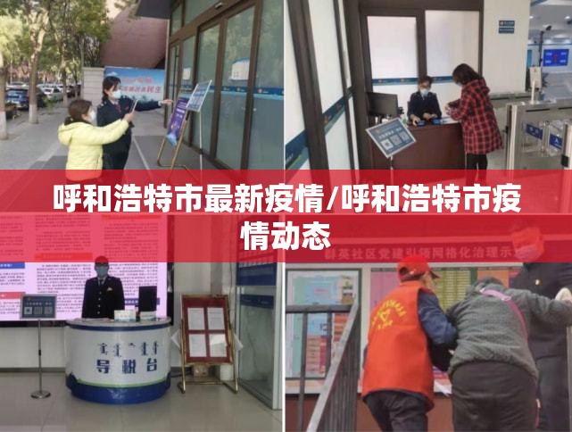 呼和浩特市最新疫情/呼和浩特市疫情动态 呼和浩特市最新疫情/呼和浩特市疫情动态