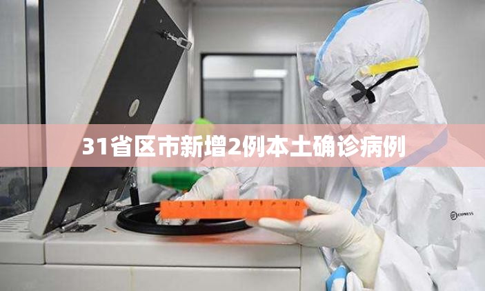 31省区市新增2例本土确诊病例/31省份新增2例本土确诊 31省区市新增2例本土确诊病例/31省份新增2例本土确诊