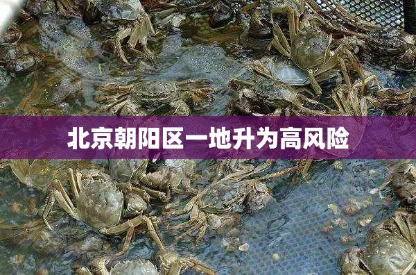 北京朝阳区一地升为高风险:北京朝阳区高风险地区 北京朝阳区一地升为高风险:北京朝阳区高风险地区