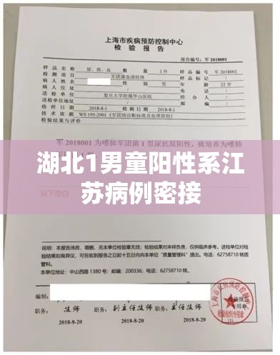 湖北1男童阳性系江苏病例密接/湖北男孩被宣布死亡