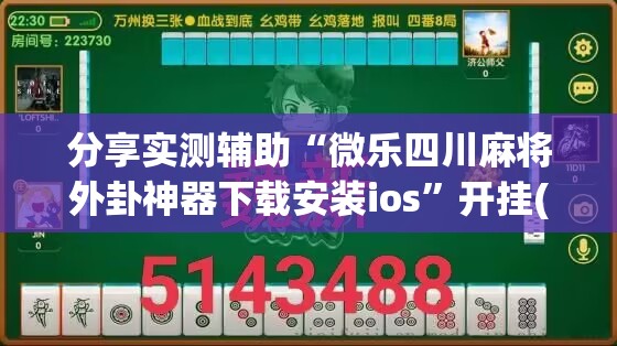分享实测辅助“微乐四川麻将外卦神器下载安装ios”开挂(透视)最新辅助详细