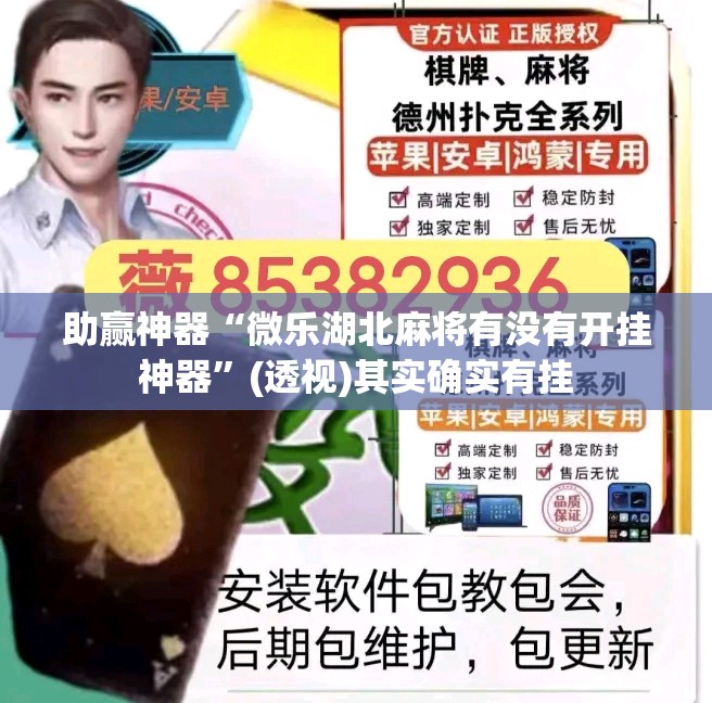 助赢神器“微乐湖北麻将有没有开挂神器”(透视)其实确实有挂