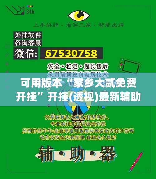 可用版本“家乡大贰免费开挂”开挂(透视)最新辅助详细