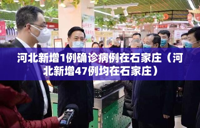 河北新增1例确诊病例在石家庄(河北新增47例均在石家庄) 河北新增1例确诊病例在石家庄(河北新增47例均在石家庄)