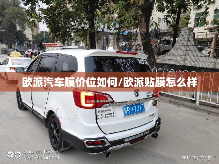 欧派汽车膜价位如何/欧派贴膜怎么样 欧派汽车膜价位如何/欧派贴膜怎么样