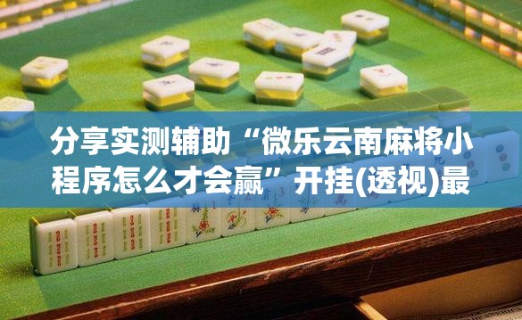 分享实测辅助“微乐云南麻将小程序怎么才会赢”开挂(透视)最新辅助详细