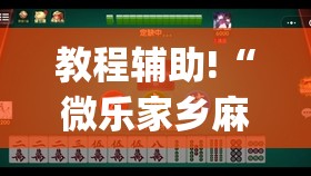 教程辅助!“微乐家乡麻将开挂教程方法	”开挂(透视)辅助教程
