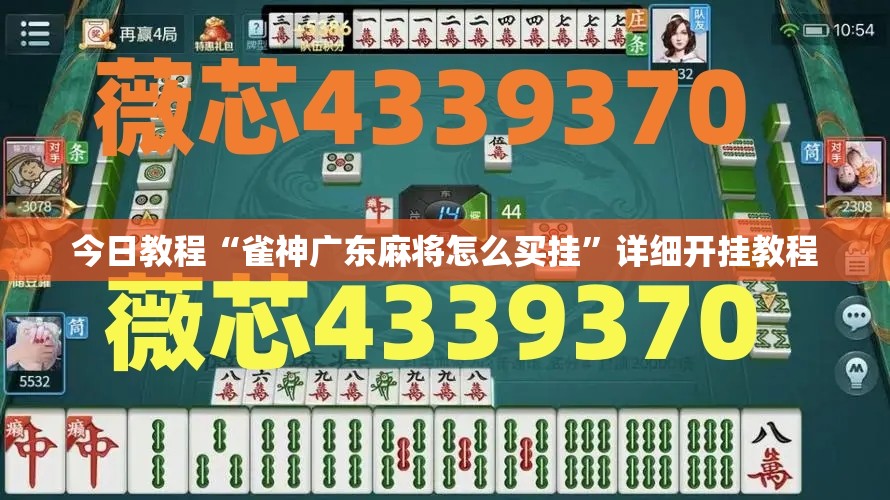 今日教程“雀神广东麻将怎么买挂”详细开挂教程