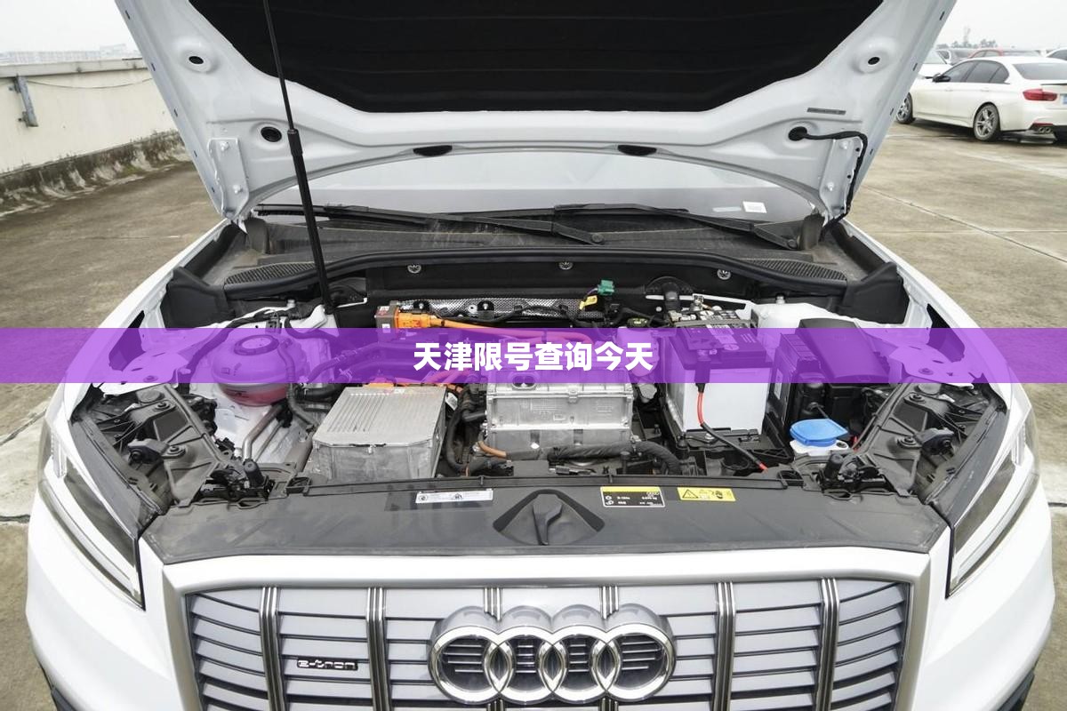天津限号查询今天/忘了车限号开了一天罚多少钱