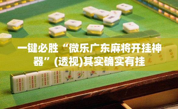一键必胜“微乐广东麻将开挂神器	”(透视)其实确实有挂