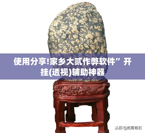 使用分享!家乡大贰作弊软件”开挂(透视)辅助神器