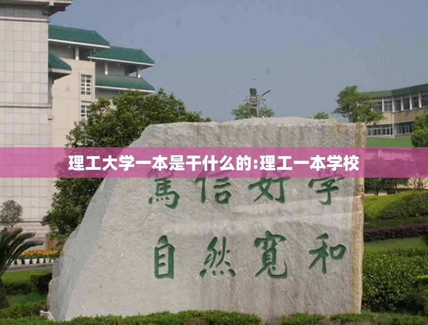 理工大学一本是干什么的:理工一本学校 理工大学一本是干什么的:理工一本学校