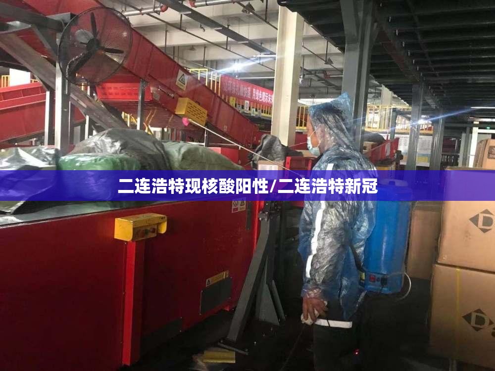 二连浩特现核酸阳性/二连浩特新冠 二连浩特现核酸阳性/二连浩特新冠
