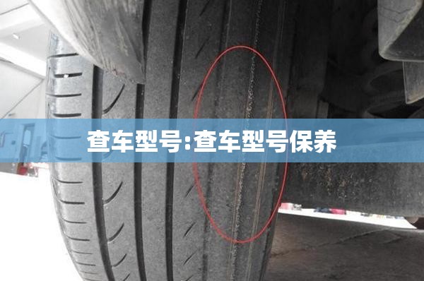 查车型号:查车型号保养