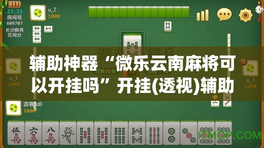 辅助神器“微乐云南麻将可以开挂吗	”开挂(透视)辅助神器
