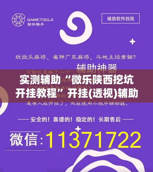 实测辅助“微乐陕西挖坑开挂教程”开挂(透视)辅助教程