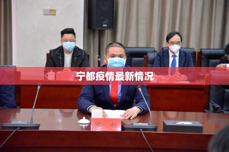 宁都疫情最新情况（宁都县新型冠状病毒）