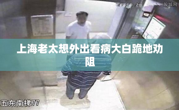 上海老太想外出看病大白跪地劝阻/上海老太太被驱逐出境 上海老太想外出看病大白跪地劝阻/上海老太太被驱逐出境