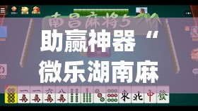 助赢神器“微乐湖南麻将怎么开免费的挂”(透视)其实确实有挂