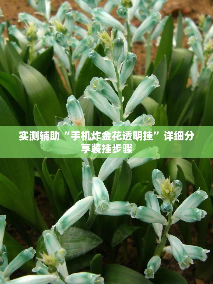 实测辅助“手机炸金花透明挂	”详细分享装挂步骤