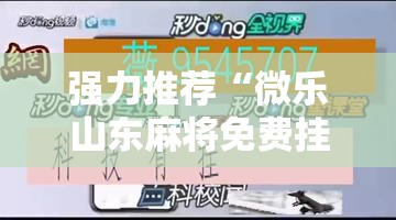 强力推荐“微乐山东麻将免费挂”细辅助教程分享