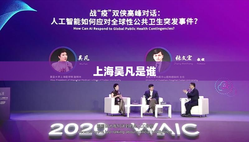 上海吴凡是谁/上海吴凡教授 上海吴凡是谁/上海吴凡教授