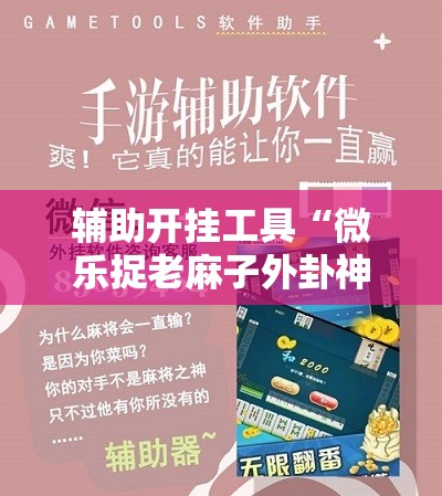 辅助开挂工具“微乐捉老麻子外卦神器下载安装”详细开挂教程