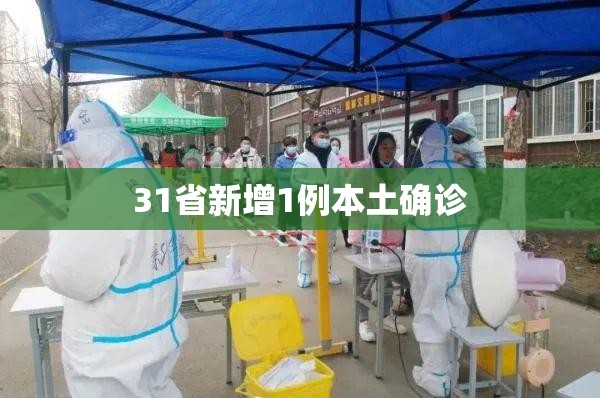 【31省新增1例本土确诊/31省新增本土确诊病例1例】