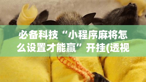 必备科技“小程序麻将怎么设置才能赢”开挂(透视)最新辅助详细