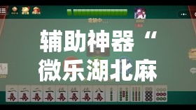 辅助神器“微乐湖北麻将怎么开挂	”详细分享装挂步骤