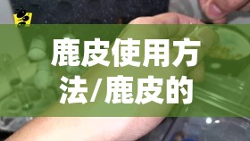 鹿皮使用方法/鹿皮的使用方法 鹿皮使用方法/鹿皮的使用方法