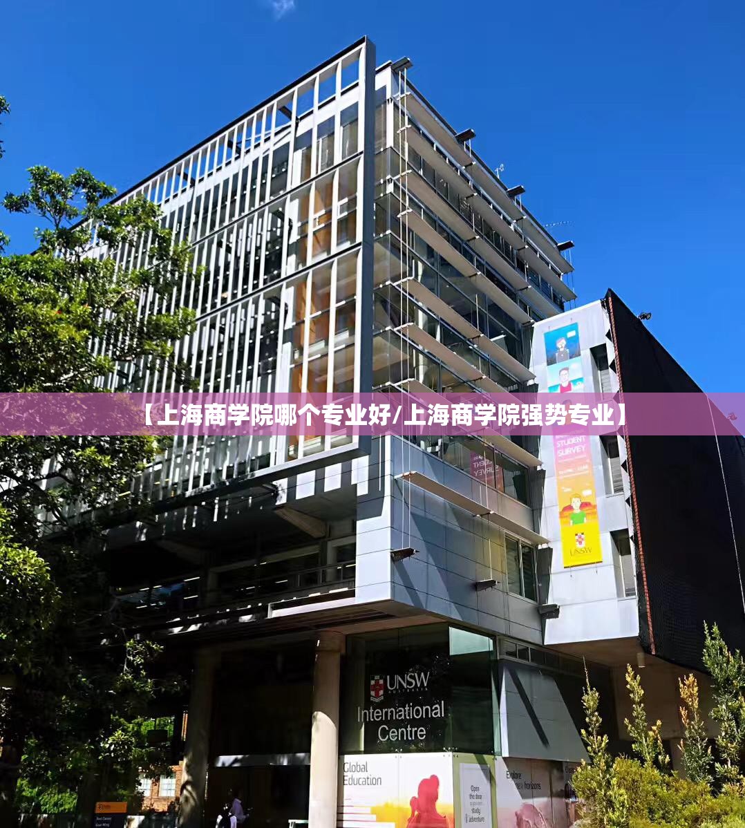 【上海商学院哪个专业好/上海商学院强势专业】 【上海商学院哪个专业好/上海商学院强势专业】