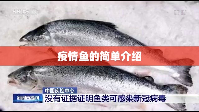 疫情鱼的简单介绍 疫情鱼的简单介绍