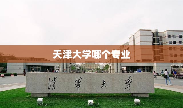 天津大学哪个专业:天津大学哪个专业最厉害