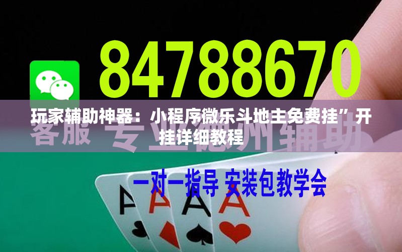 玩家辅助神器：小程序微乐斗地主免费挂”开挂详细教程