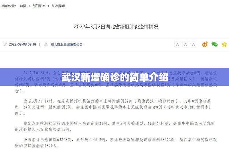 武汉新增确诊的简单介绍